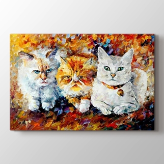 Kedi görseli.