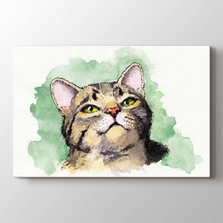 Kedi görseli.