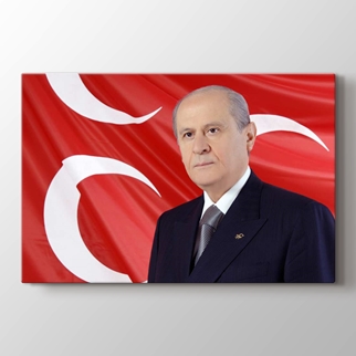 Devlet Bahçeli görseli.