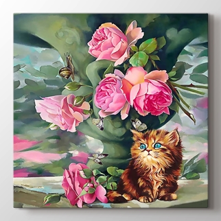 Kedi görseli.