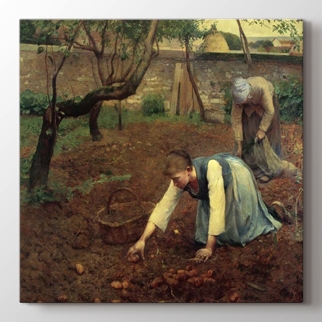 The Potato Gatherers görseli.