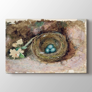 Bird Nest görseli.