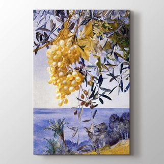 Grapes görseli.