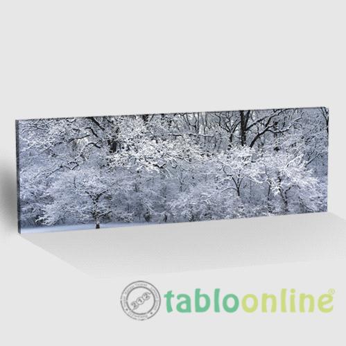 KAR VE ORMAN TABLO