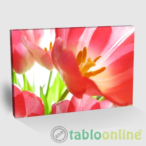 ANONİM ÇİÇEK TABLO