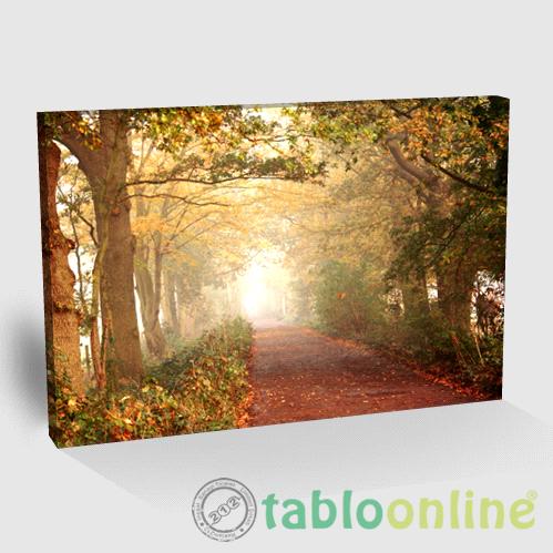 A GUİET LANE ON A BEAUTİFUL TABLO